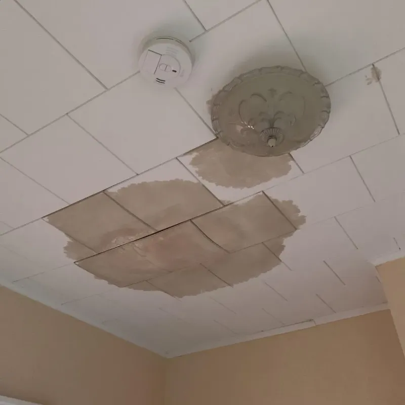 Ceiling Water Damage Repair in Garden City Park, NY